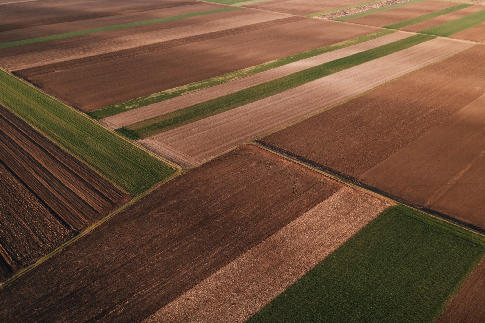 Cultivated farmland viewed from above